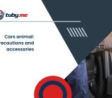 Cars animal: precautions and accessories