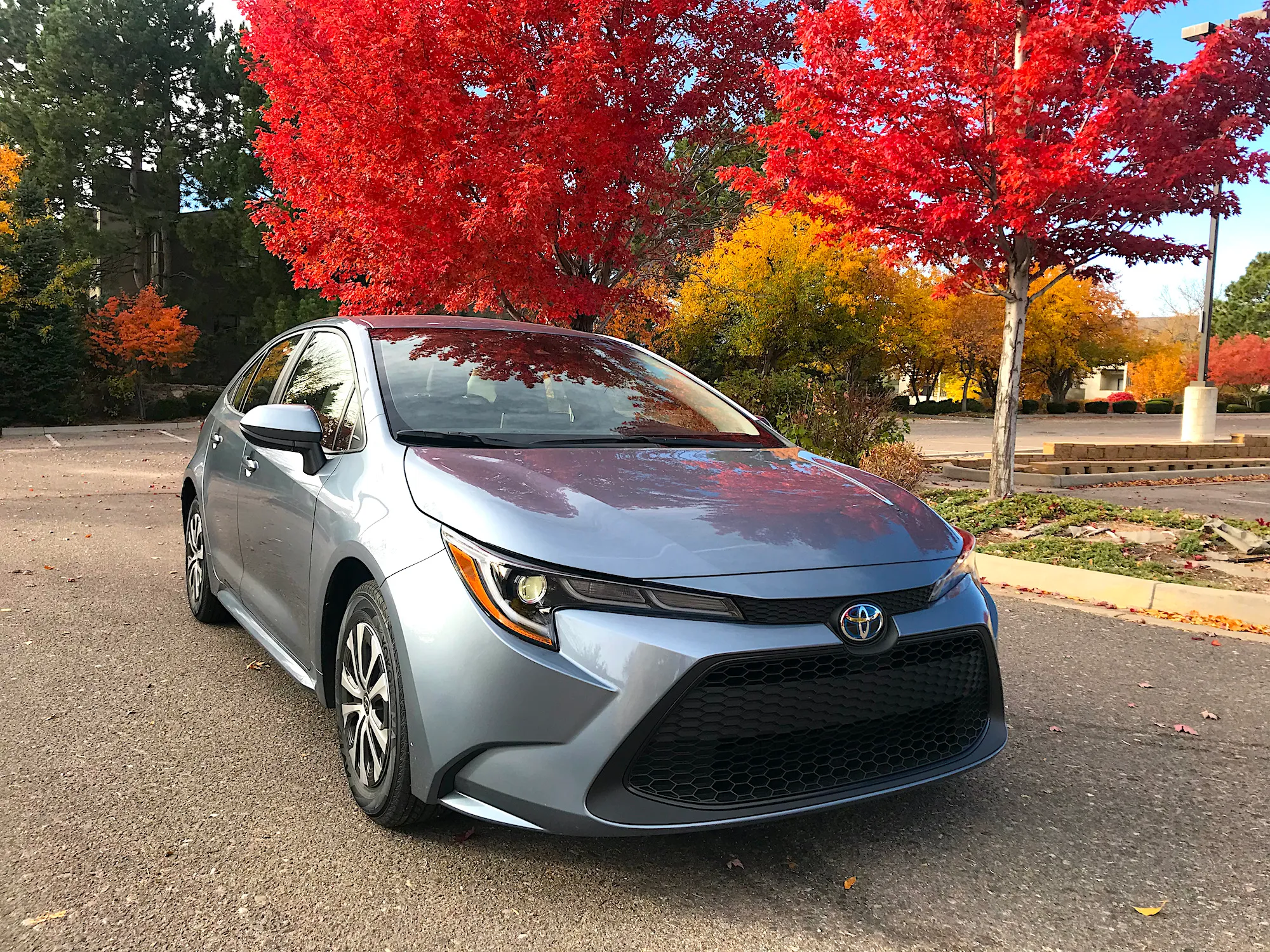 pareri toyota corolla