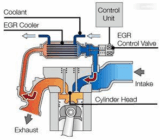 What is the EGR and what role does EGR ❤Iron Vrom plays