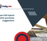 Citroen DS5 Hybrid points: purchase suggestions