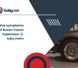 Defective symptoms of Buson Vason Expansion ⚙️ tuby.mem