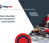 Flange symptoms of shock absorber consumed ✚ what they are and which role have ⚙️