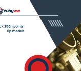 Lexus UX 250h points: Tip models