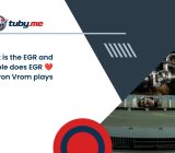 What is the EGR and what role does EGR ❤Iron Vrom plays